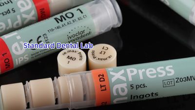 Standard Dental Lab Co., Limited خط تولید تولید کننده