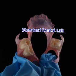 Standard Dental Lab Co., Limited خط تولید تولید کننده