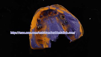 Standard Dental Lab Co., Limited خط تولید تولید کننده
