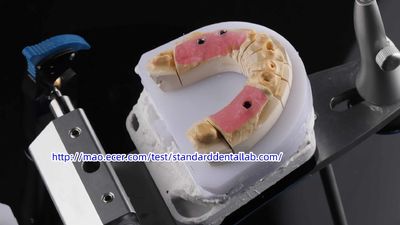 Standard Dental Lab Co., Limited خط تولید تولید کننده