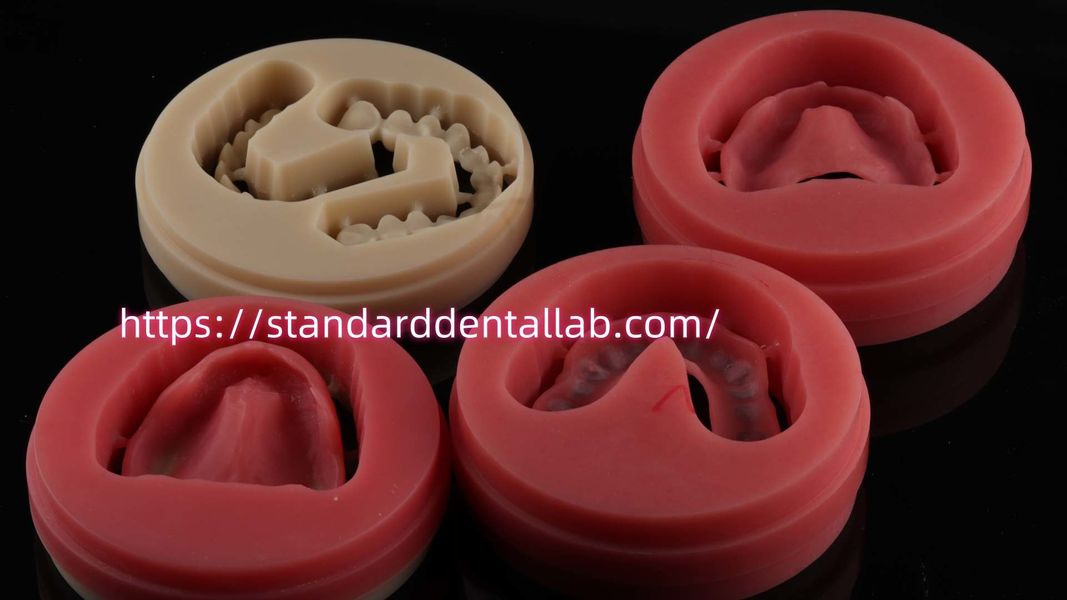 Standard Dental Lab Co., Limited خط تولید تولید کننده