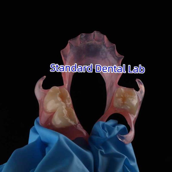 Standard Dental Lab Co., Limited خط تولید تولید کننده
