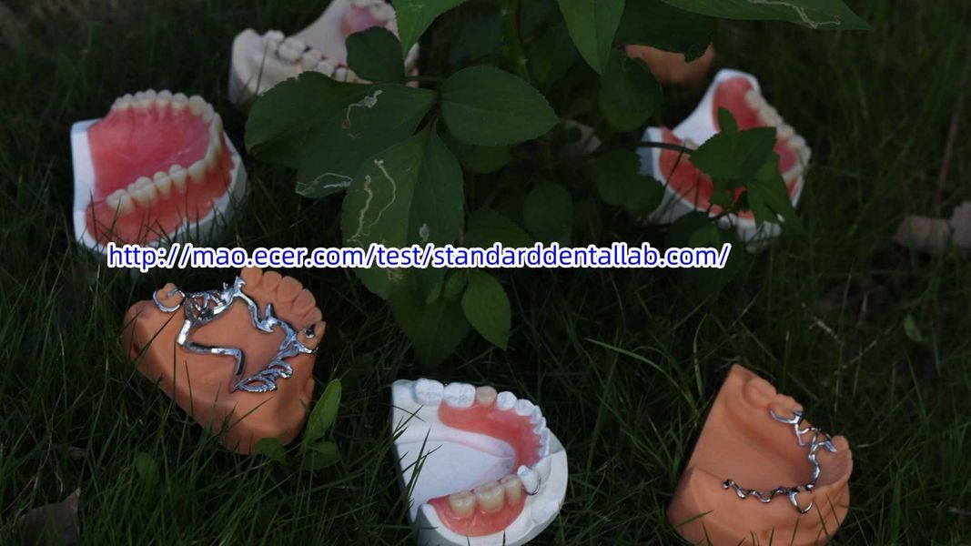 Standard Dental Lab Co., Limited خط تولید تولید کننده