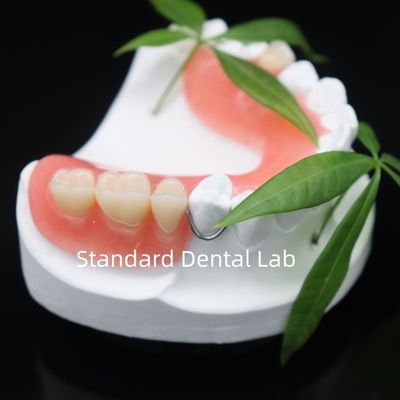 خرید ارتفاع زیبایی دندانپزشکی Lucitone 199 آکریلیک دندانپزشکی رزین آکریلیک برای دندانپزشکی چین آزمایشگاه دندانپزشکی ساخت آنلاین