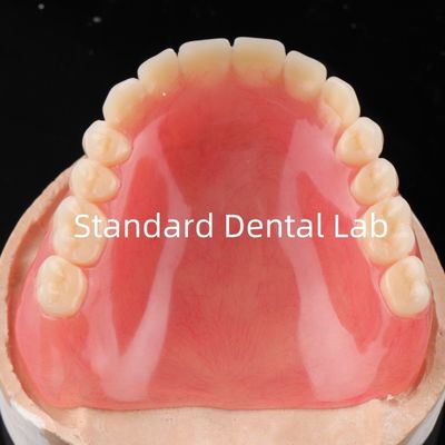 پروتز آکریلیک کامل رزین آکریلیک برای پروتز آکریلیک پروتز کامل China Dental Lab