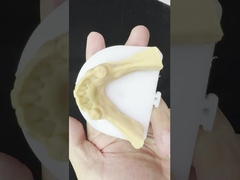 فلز آلیاژ قطعی کوبالت کروم دندانهای مصنوعی Ivoclar Scheftner Framewrok فلزی راحت